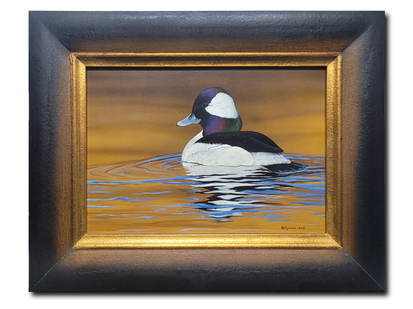 Bufflehead