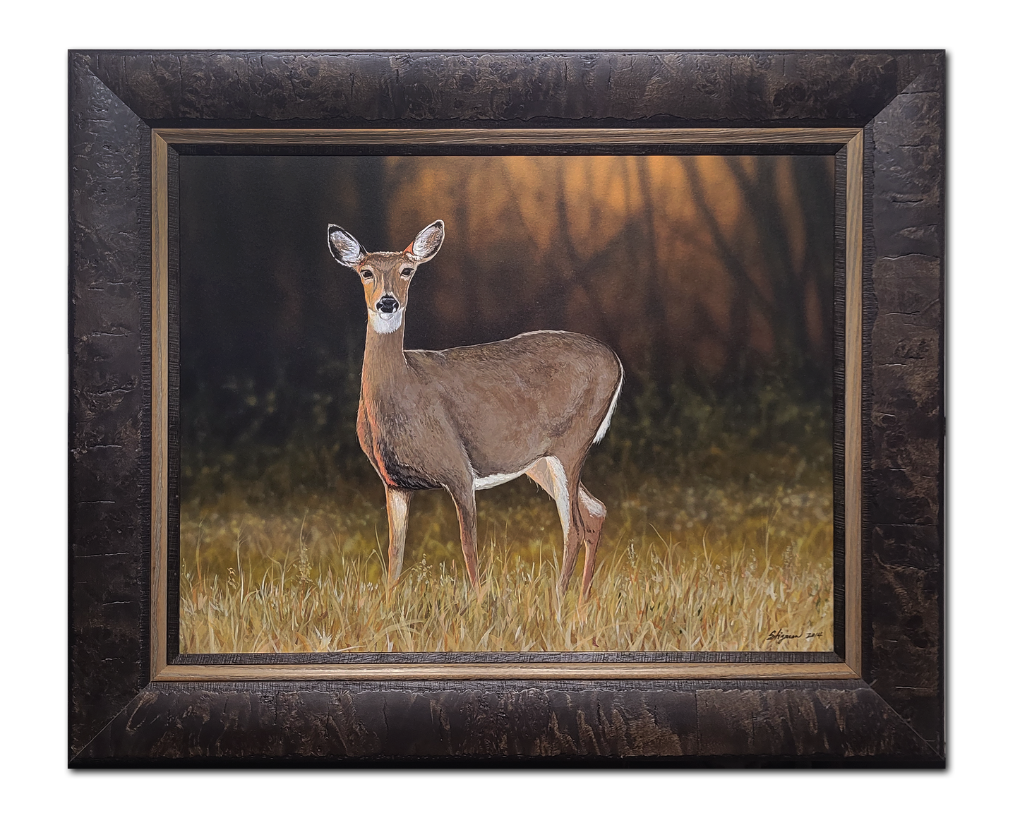 Doe at Sunset