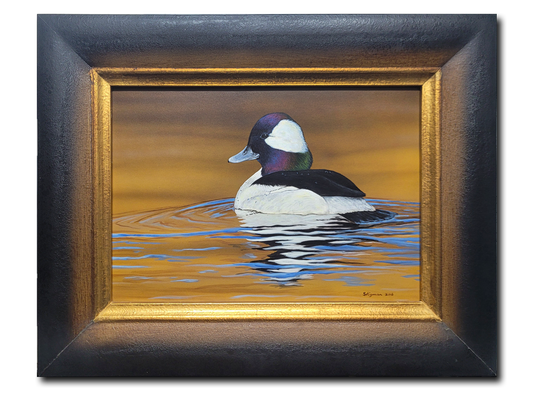 Bufflehead