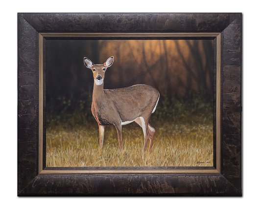 Doe at Sunset