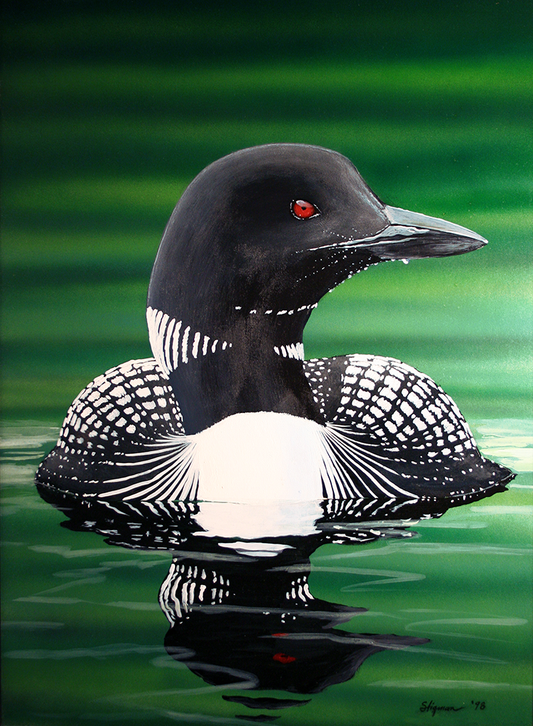 Majestic Loon