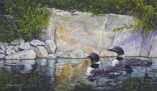 NEW!!! Canadian Sojourn Canvas Edition