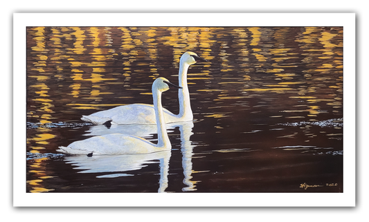 Reflections Giclee Print