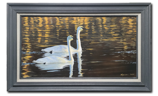 Reflections